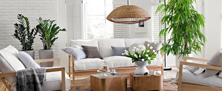  Cách trang trí cây cảnh trong nhà đẹp và hợp phong thủy					