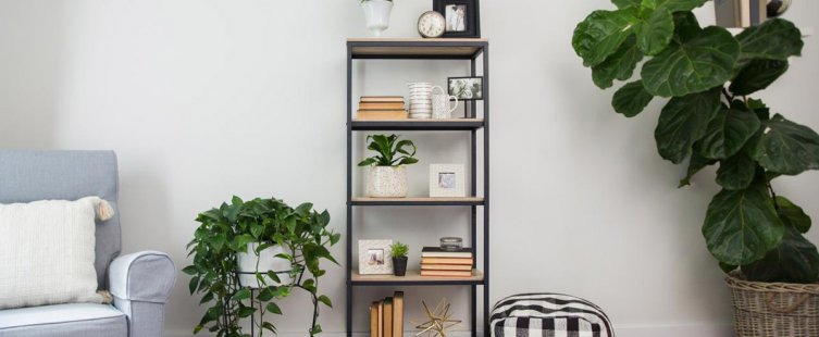  25+ mẫu kệ sách giá rẻ cho sinh viên đẹp, độc đáo					