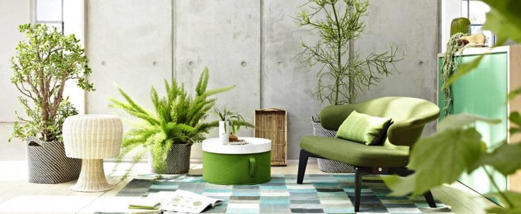  Chọn thảm trải sàn phòng khách mùa hè cần lưu ý những gì?					