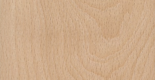  Vật liệu gỗ Dẻ Gai (Beech) tự nhiên.					