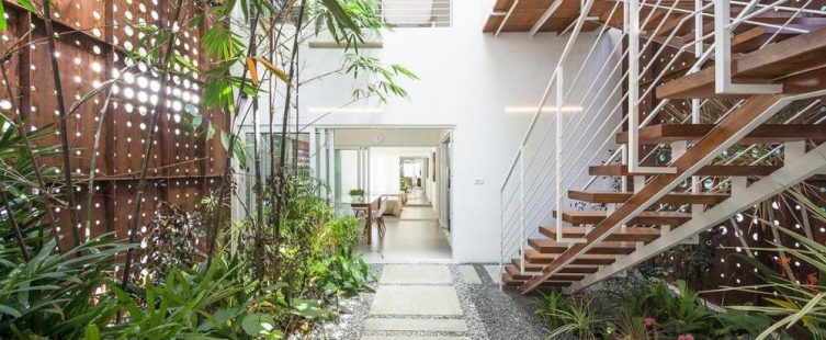  Thiết kế giếng trời làm nhà phố 3 tầng luôn xanh mát, thoáng đãng					