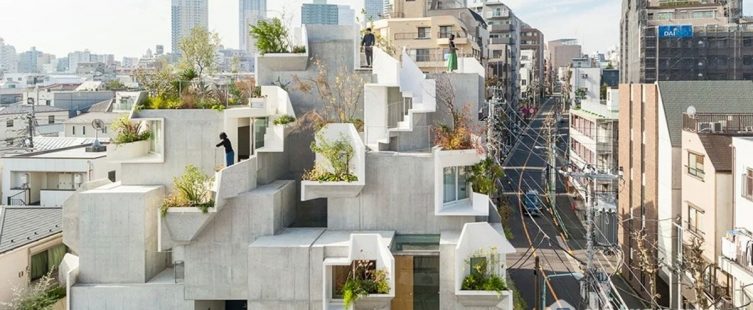 Tree-ness House – Công trình độc đáo với chiếc hộp giấy xếp chồng					