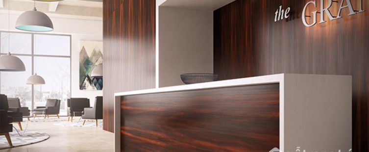  Các loại gỗ dán veneer phổ biến trên thị trường hiện nay – bạn đã biết?					