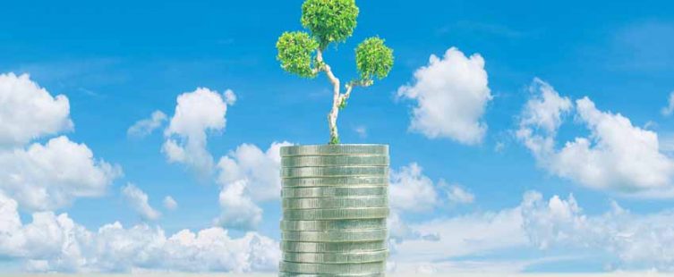  Cách đặt cây cảnh để bàn trong phòng làm việc giúp phát lộc cả năm					