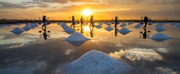  Khám phá cuộc sống làng chài ngay tại Sài Gòn với Đảo Thạnh An					