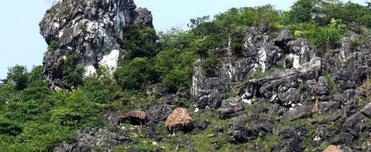  Cao nguyên đá Đồng Văn – bảo tàng thiên nhiên độc đáo của nhân loại					