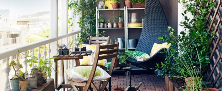  Những điều cần lưu ý khi trồng cây trên ban công để thu hút tài lộc					