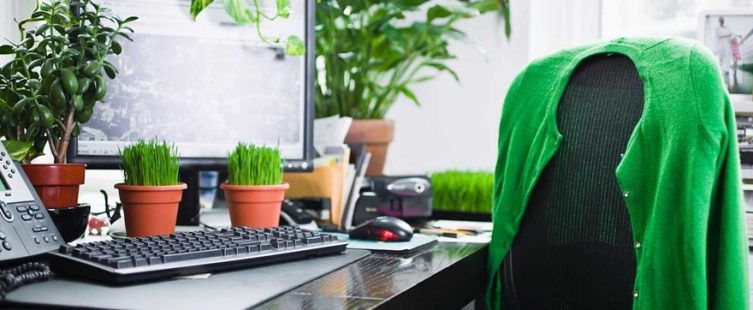  Cách sắp xếp đồ vật trên bàn làm việc bài trí theo phong thủy					
