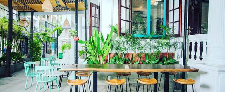  Chất lừ không gian cà phê xanh thu hút đông đảo giới trẻ					