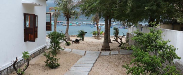  Homestay trên đảo Bình Hưng đẹp “nức nở” với tầm view 2 trong 1					