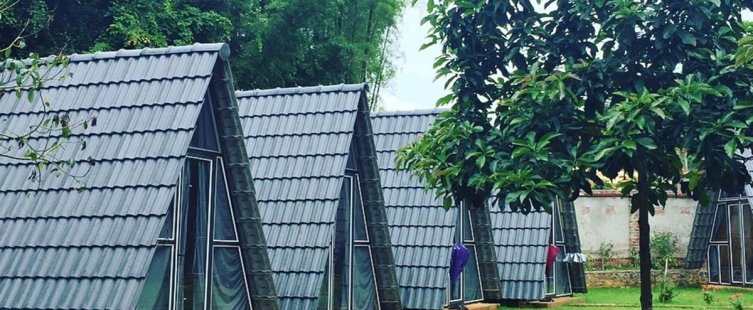  Điều gì tạo nên văn hóa sử dụng dịch vụ homestay ở Mộc Châu?					