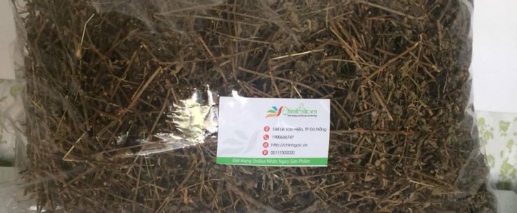  Cà gai leo bán tại Đà Nẵng – địa chỉ uy tín nhất hiện nay					