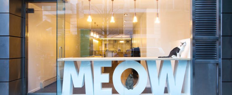  Thiết kế quán cafe đơn giản Meow của chị Neo Hà Đông					