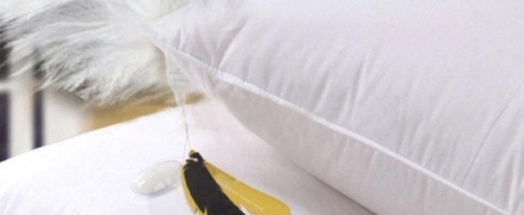  Cách làm sạch gối lông vũ nhanh chóng và hiệu quả					