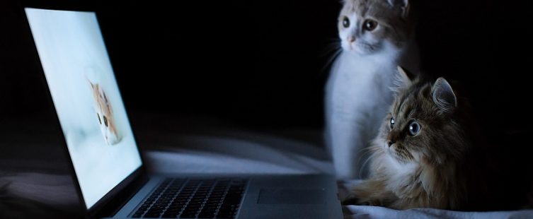  Khéo tay tự chế bàn laptop độc đáo từ chiếc gối cũ nhanh chóng					