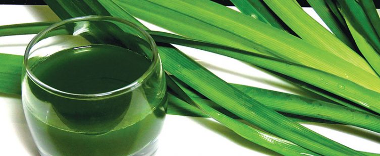  Xua tan lo lắng phòng tắm bị hôi với 6 nguyên liệu dễ kiếm này					