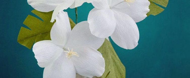  Khéo tay tự làm hoa giấy trang trí bằng giấy nhún, đơn giản nhưng tinh tế					