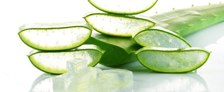  Cách phục hồi tóc hư tổn bằng nha đam – nhanh mà không hề tốn kém					