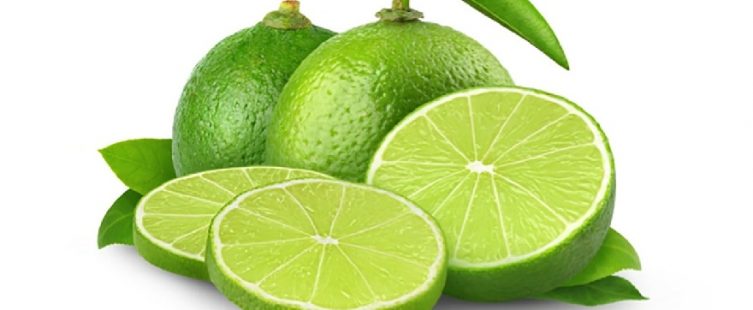  Mách bạn 9 mẹo nhỏ khử mùi cho hộp nhựa có thể bạn chưa biết					