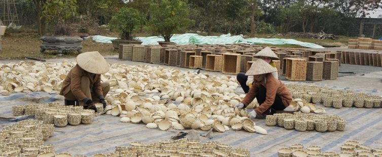  Về thăm làng nghề đan cỏ tế Lưu Thượng – nơi làm giàu từ loài cây dại					