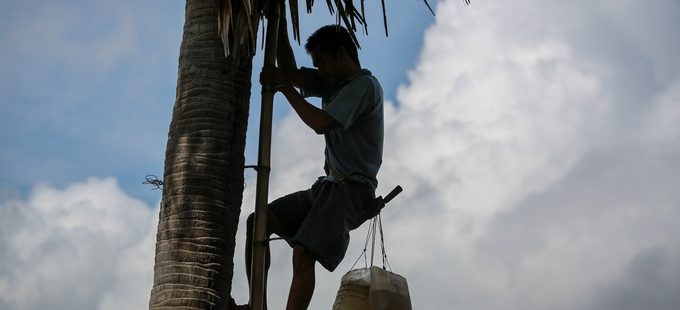  Độc đáo nghề nấu đường thốt nốt của dân tộc Khmer An Giang					