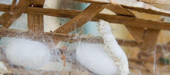  Nét đẹp văn hóa của làng cổ tơ tằm Vọng Nguyệt thu hút du khách					