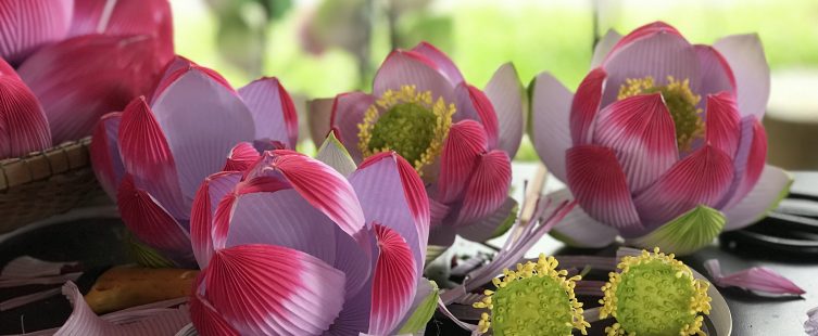  Rực rỡ sắc màu tại làng nghề hoa giấy Thanh Tiên 400 năm ở Huế					