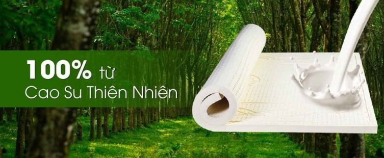  [Tư vấn]: Tiêu chí mua nệm cao su giá rẻ chất lượng tốt hiện nay					
