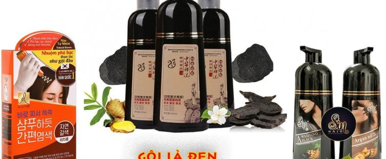 [REVIEW] TOP 5 Dầu Gội Phủ Bạc Loại Nào Tốt Nhất Hiện Nay					