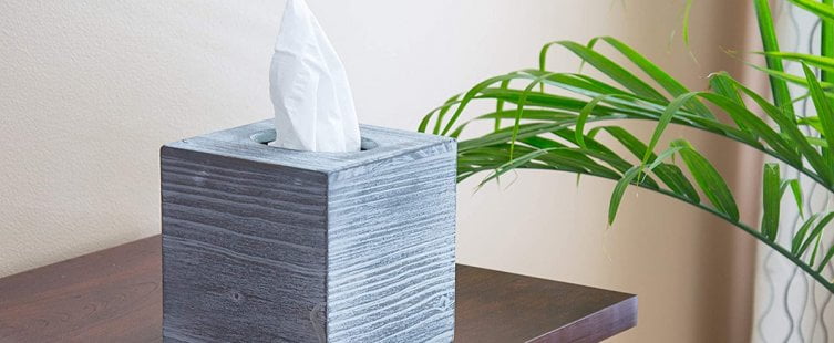  Chọn mua hộp đựng giấy ăn giá rẻ cần lưu ý những gì?					